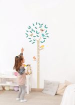 Toise de croissance arbre