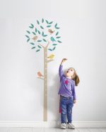 Toise de croissance arbre